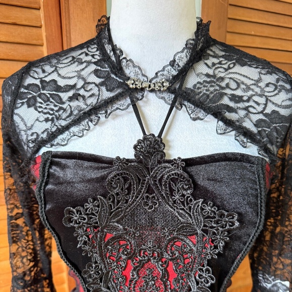 Gothic Victorian Vampire Bloody Garden of Delight Black & Red Lace Velvet Gown - Picture 4 of 15